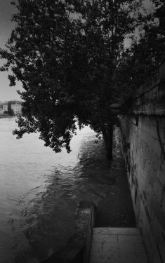 Luc Dartois 2016 - Paris inondations, Quais de Seine