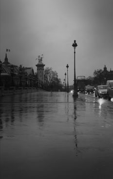 Luc Dartois 2018 - Paris sous la pluie, pont Alexandre III