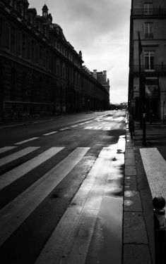 Luc Dartois 2020 - Paris sous confinement, Rue de Rivoli (7)