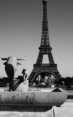 Luc Dartois 2020 - Paris sous confinement, Tour Eiffel (2)