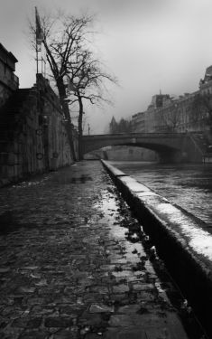 Luc Dartois 2021 - Paris sous la pluie, Quai de Montebello et Petit Pont