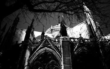 Luc Dartois 2009 - Paris la nuit, Notre-Dame (3)