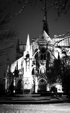 Luc Dartois 2009 - Paris la nuit sous la neige, Notre-Dame