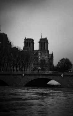 Luc Dartois 2018 - Paris inondations, Notre-Dame